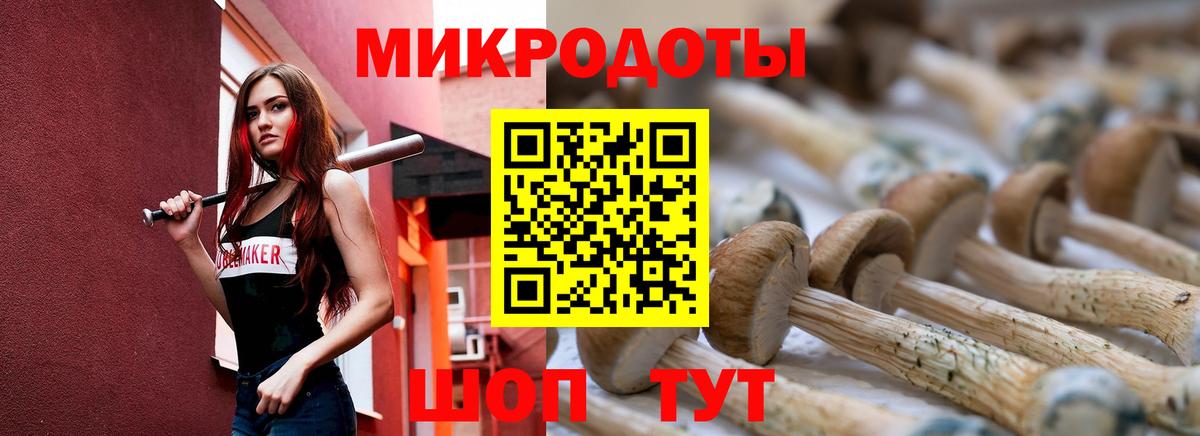 Галлюциногенные грибы ЛСД Зеленогорск