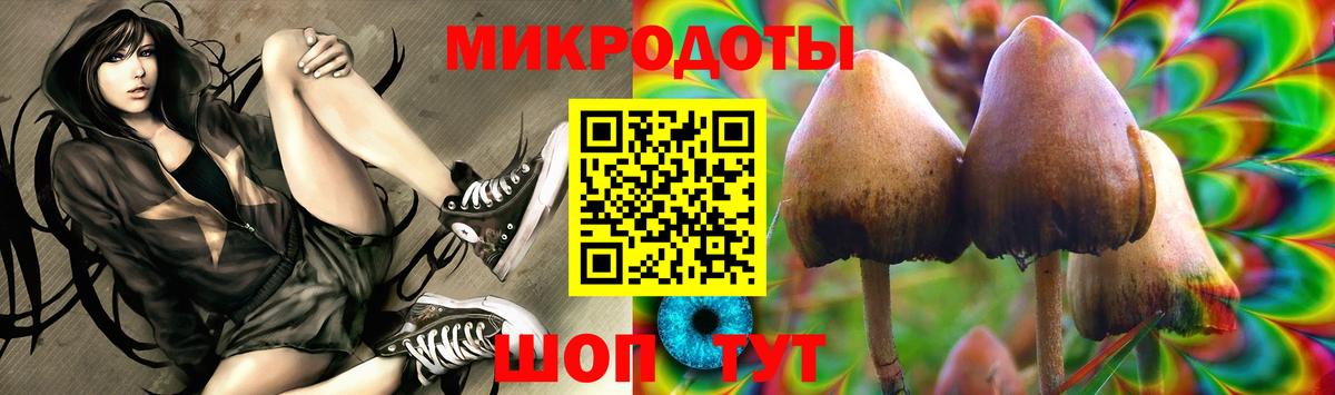 Галлюциногенные грибы прущие грибы  Галлюциногенные грибы GOLDEN TEACHER  Зеленогорск  Вход с VPN 